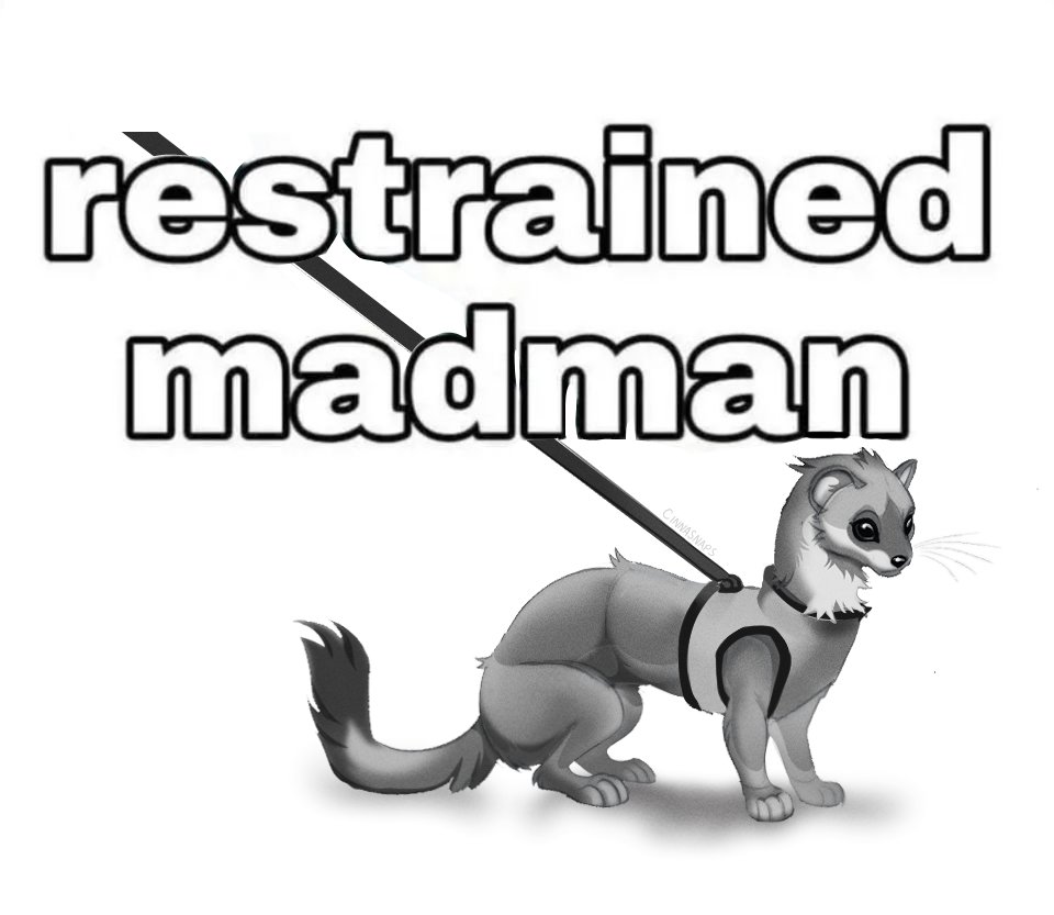 CinnaSnaps's tweet photo. Nefarious Noodle https://t.co/hdlvfyYNxN