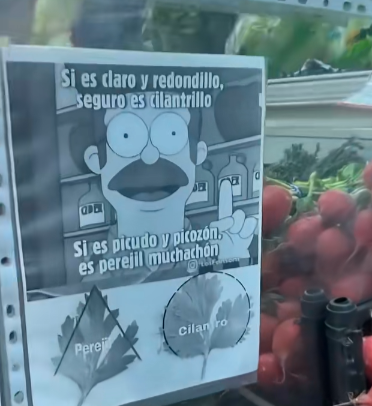 oso_tramposo's tweet image. ¡Lo que usted diga, señor cartel!