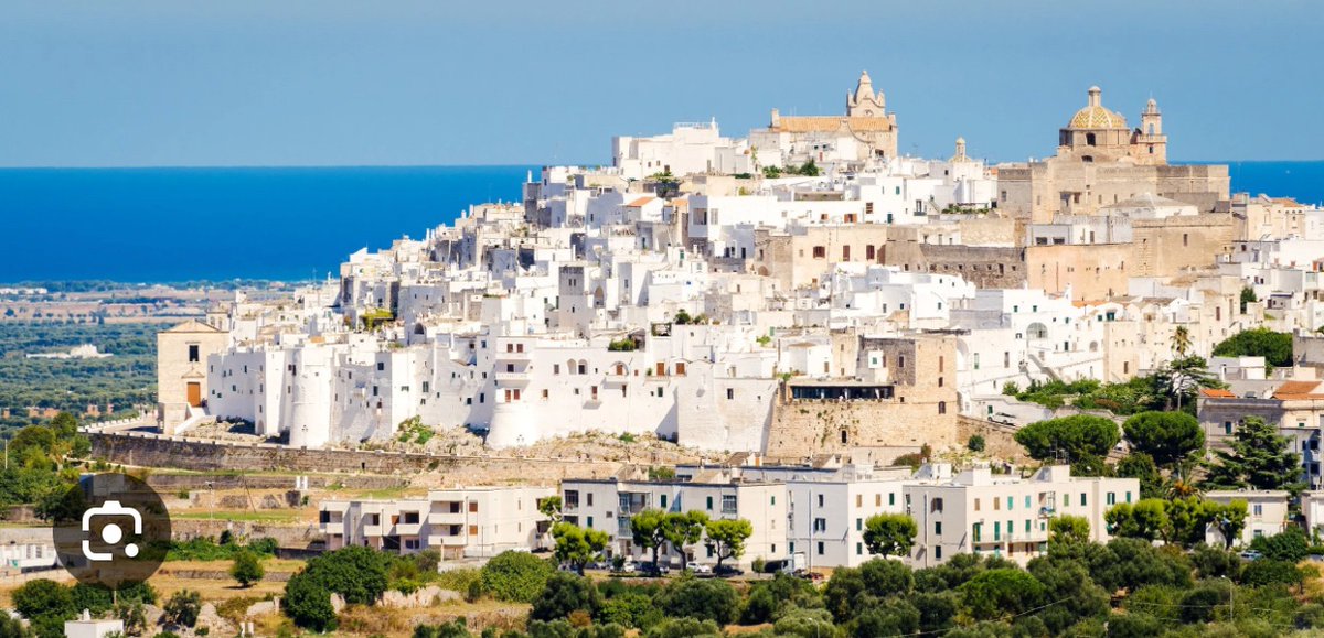 CalabroneShowDogs tweet media