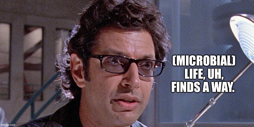 markowenmartin's tweet photo. Modifying the famous Jeff Goldblum quote from “Jurassic Park” for my classroom purposes. After all, I’m a #MicrobialCentrist who understands that the #SmallMasters were #FirstEvolvedLastExtinct. @univpugetsound @ASMicrobiology https://t.co/WI6GSnV36a