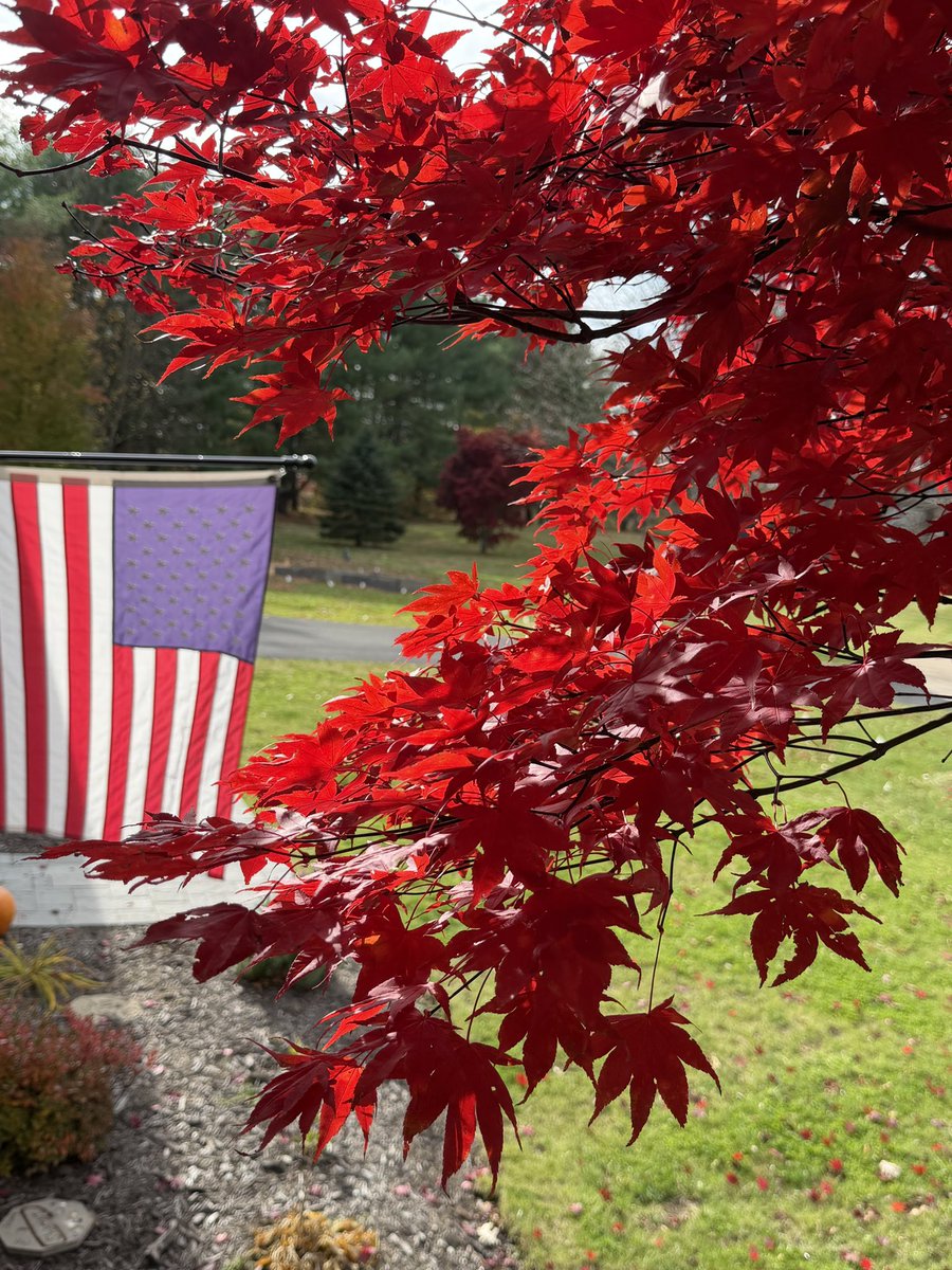 Matthew Reed tweet media