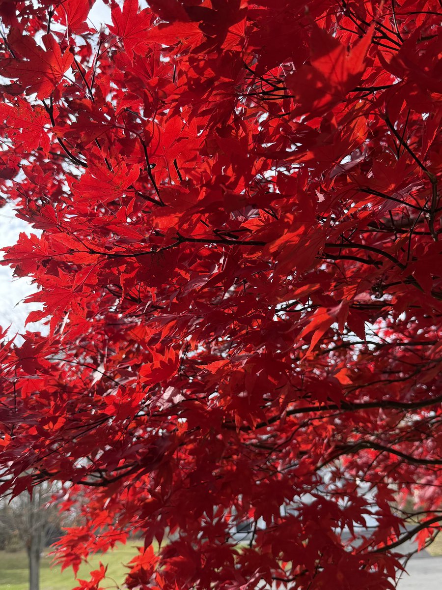 Matthew Reed tweet media