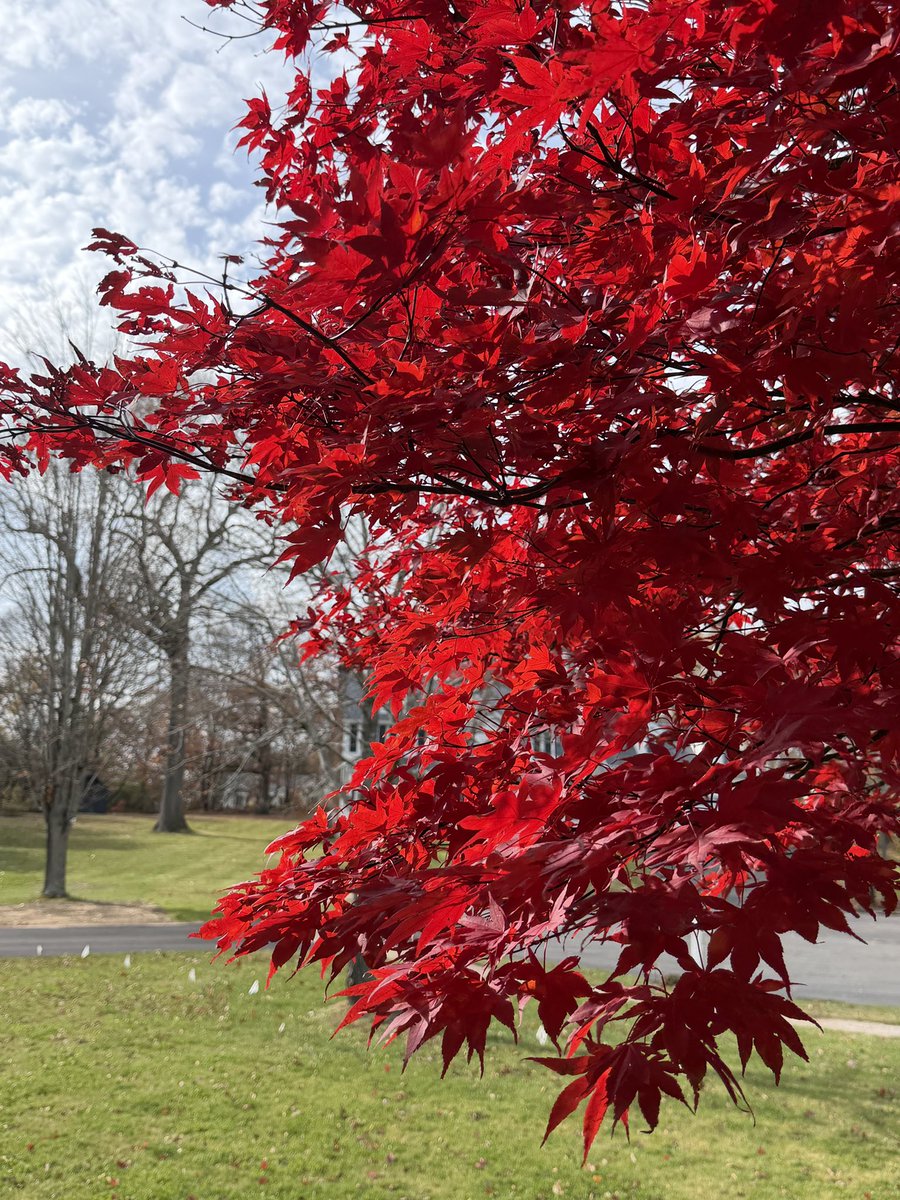 Matthew Reed tweet media