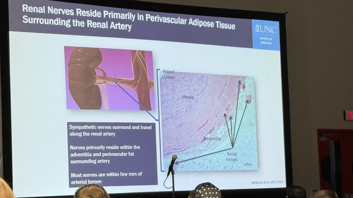 ElfadawyN's tweet photo. #kidneywk #kidneyweek25 learning about mechanism of action of renal #denervation in #resistent #hypertension - room 362 https://t.co/F9c1BsusWq