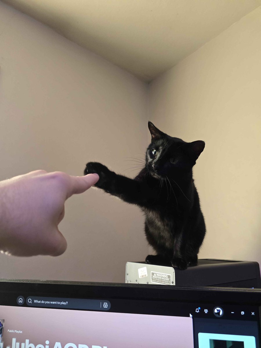 Eli (@rats7) on Twitter photo 