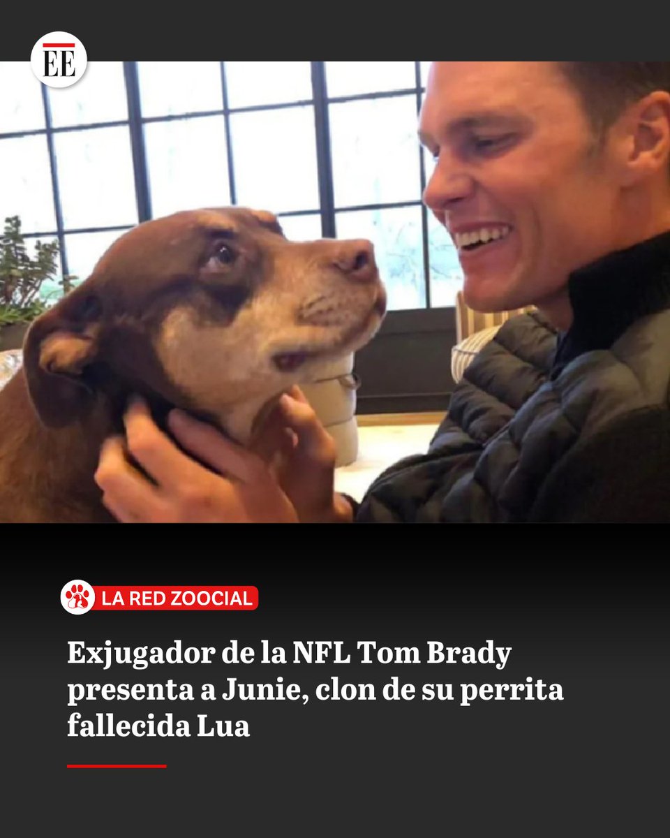 elespectador's tweet image. La perrita incluso apareció junto a él en una campaña publicitaria en 2014. Tras su fallecimiento, Tom le dedicó un emotivo mensaje.
👉🏻 trib.al/RU5TIEs