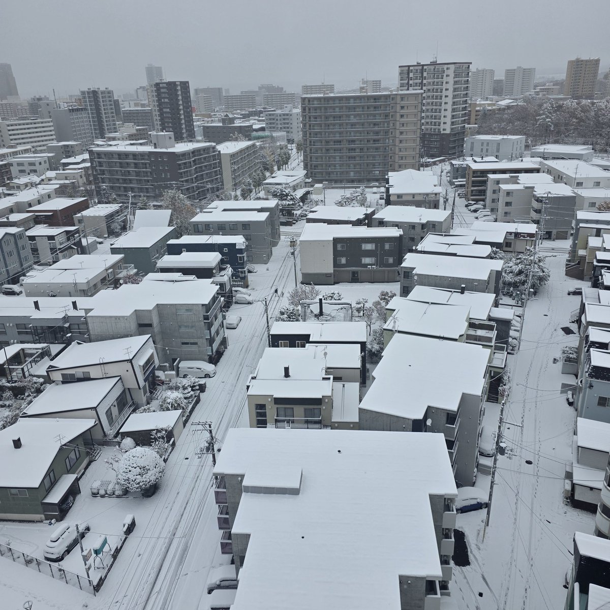 いんこにっと (@inkonite) / Posts / X