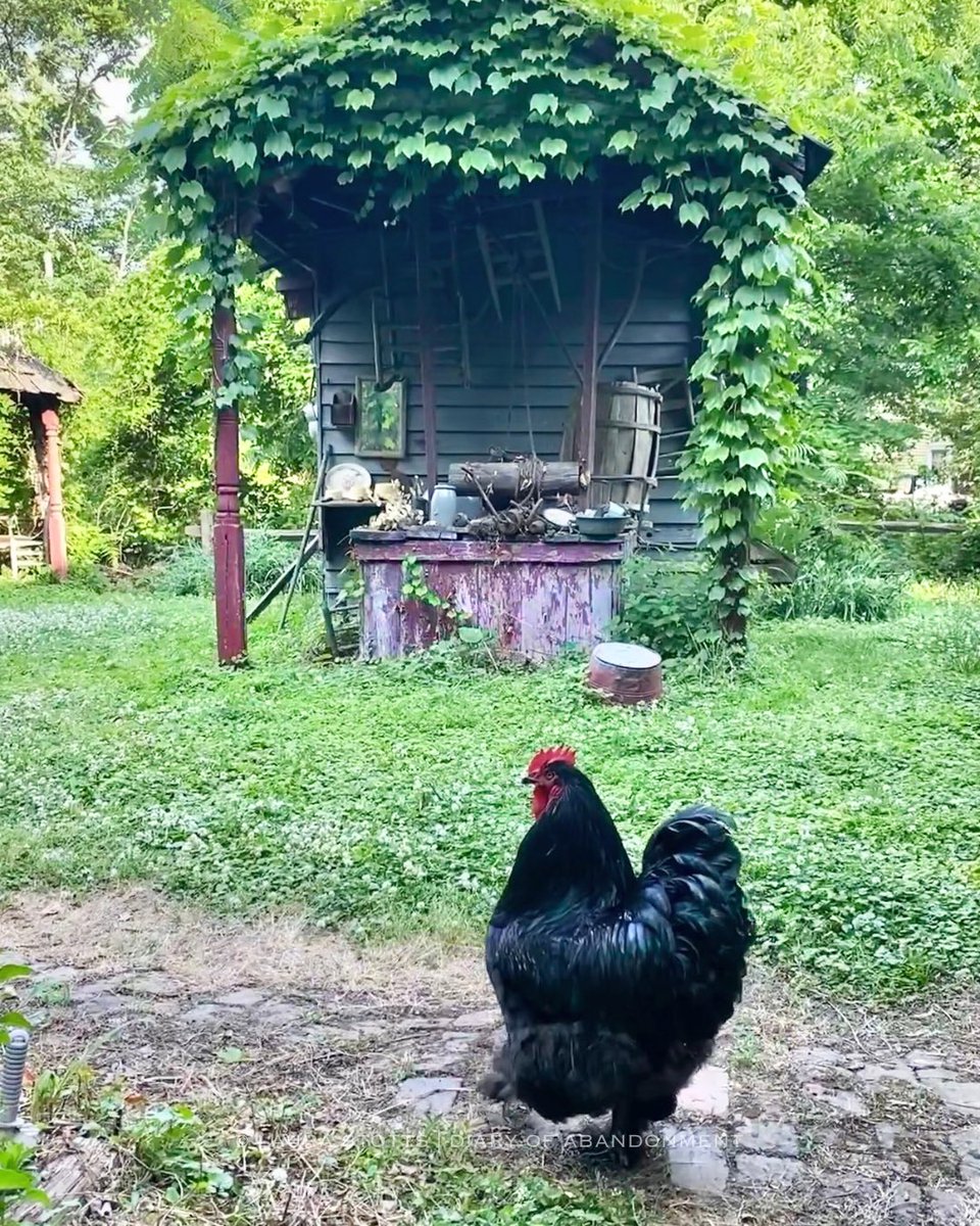 Let’s see some nature shots 📸