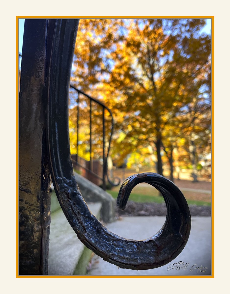 bellzatk's tweet image. 8th Week Fall
@kcollege
.
.
.
#KalamazooCollege 
#KCollege 
#FallQuarter