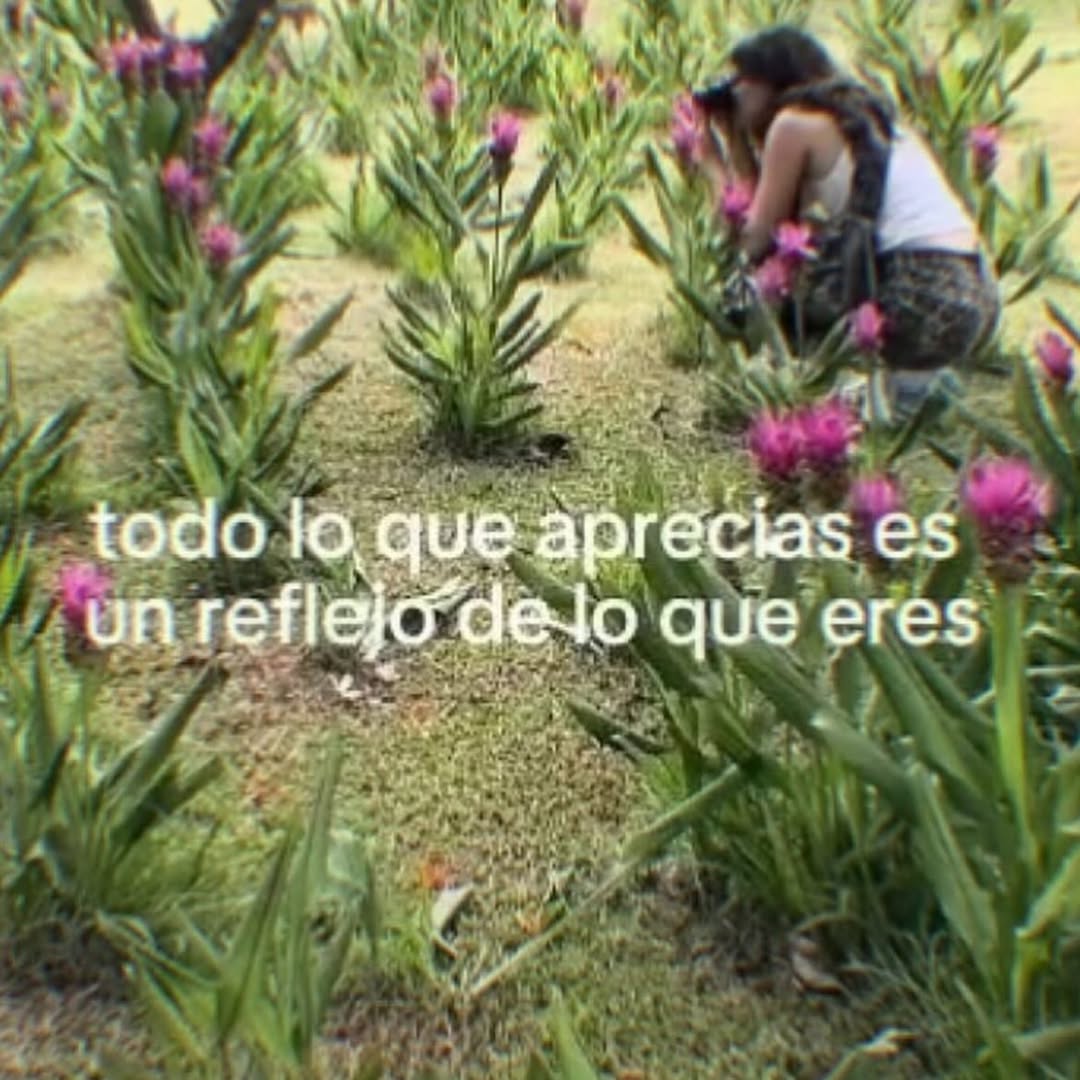 Ojos color sol (@ojoscol0rsol) on Twitter photo 