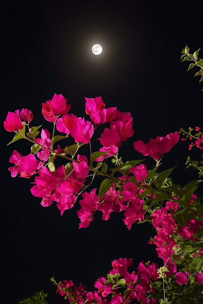 اعترف في قلبي لك حب كبير 
وسنوات طويلة من الشوق والدفء والحب والحنين 💜