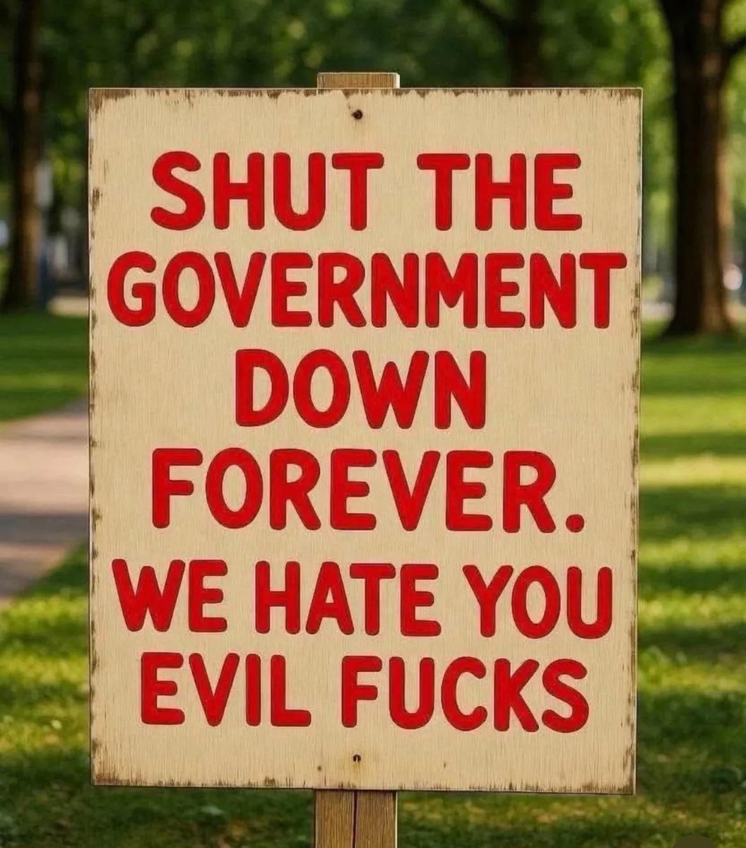 my politics in a nutshell ⬇️