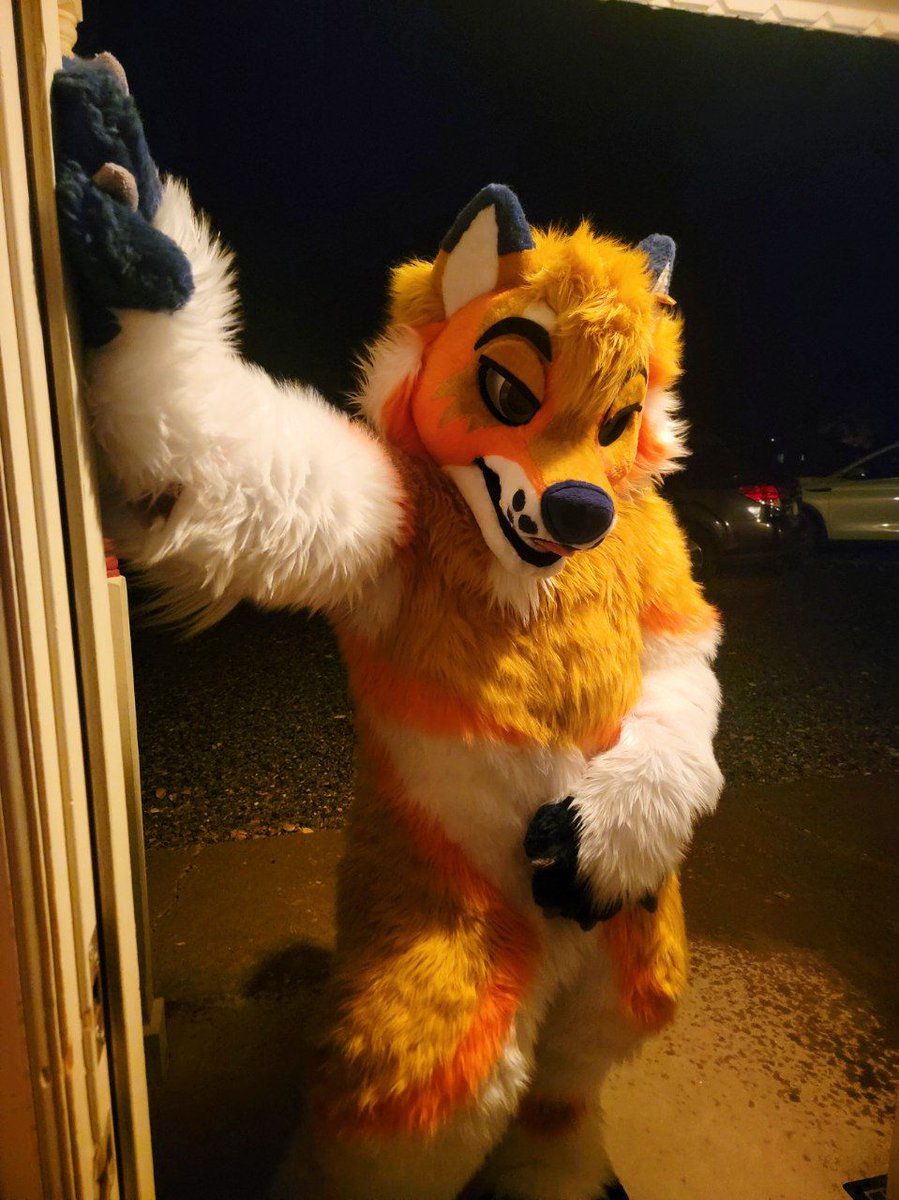 Can a dog come inside? 😇

#FursuitFriday