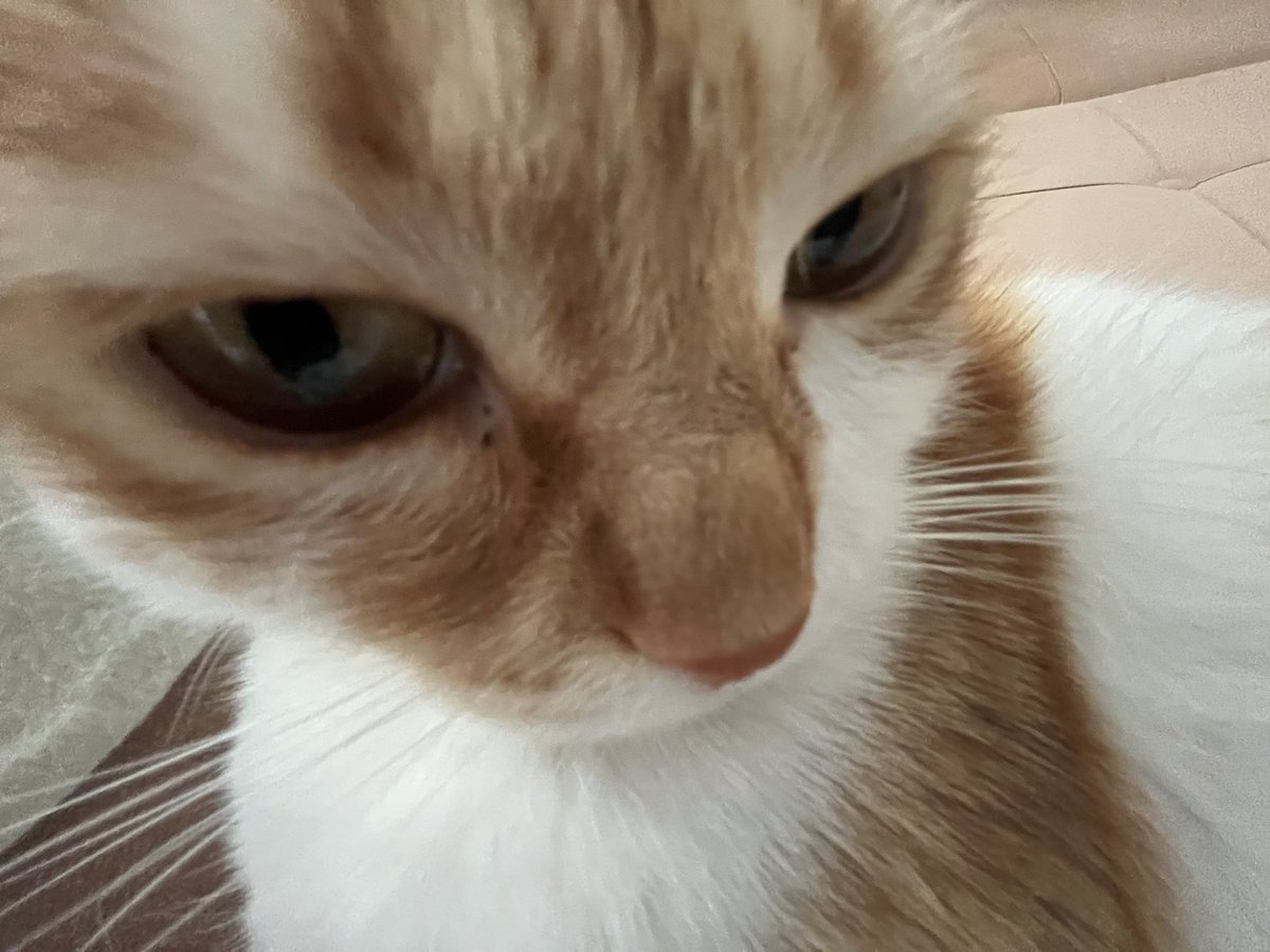 telefonumu kaçırıp kaçırıp foto çekiyor imdat