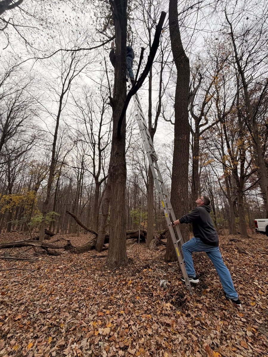 Ramapo Police officers responded to Evergreen Cemetery in the Village of Airmont for a report of a falcon trapped in a tree, its legs caught and unable to break free. Tallman Fire Department was requested to the scene and provided assistance in safely freeing the bird.