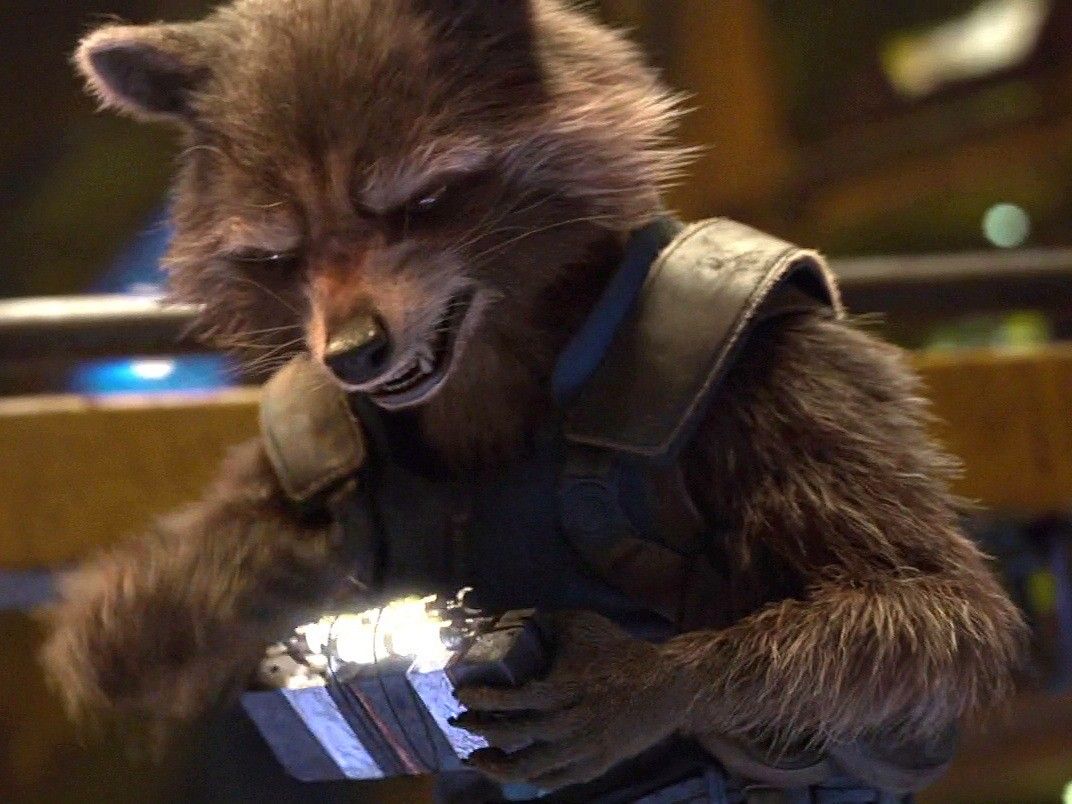 "He stole batteries he didn't need"
Well, they'd have been flarked without them! 
(He looks so fluffy here) 
#Rocketraccoon