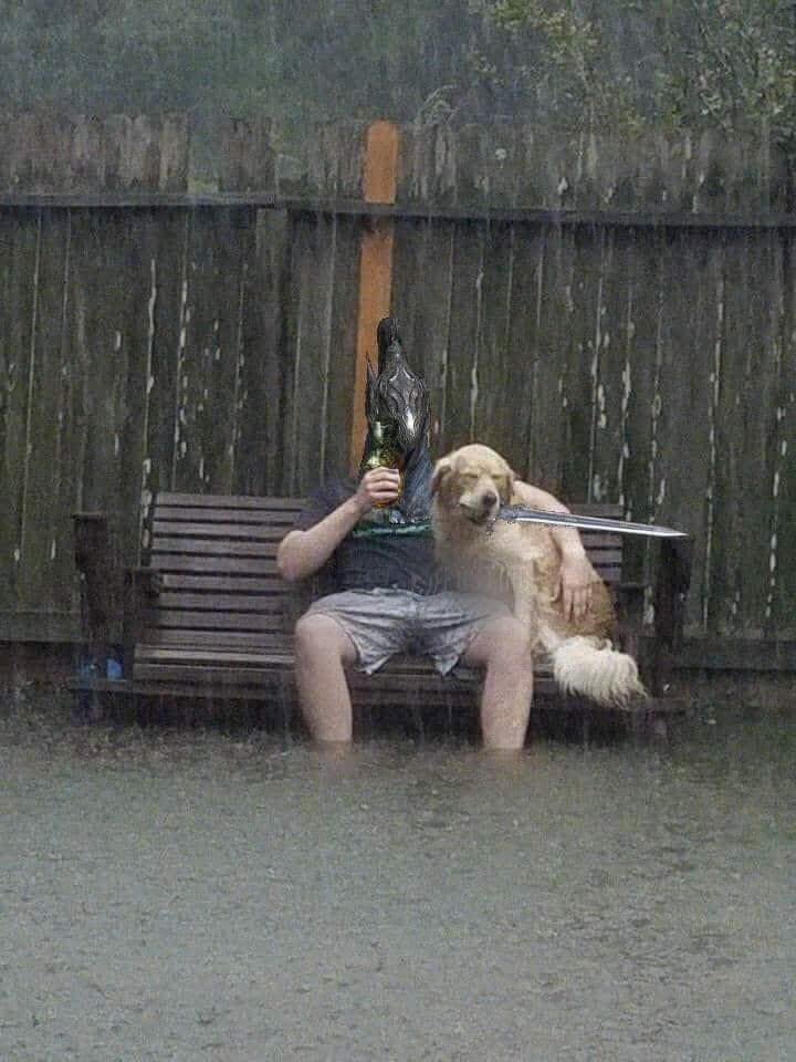 berserksouls's tweet image. 