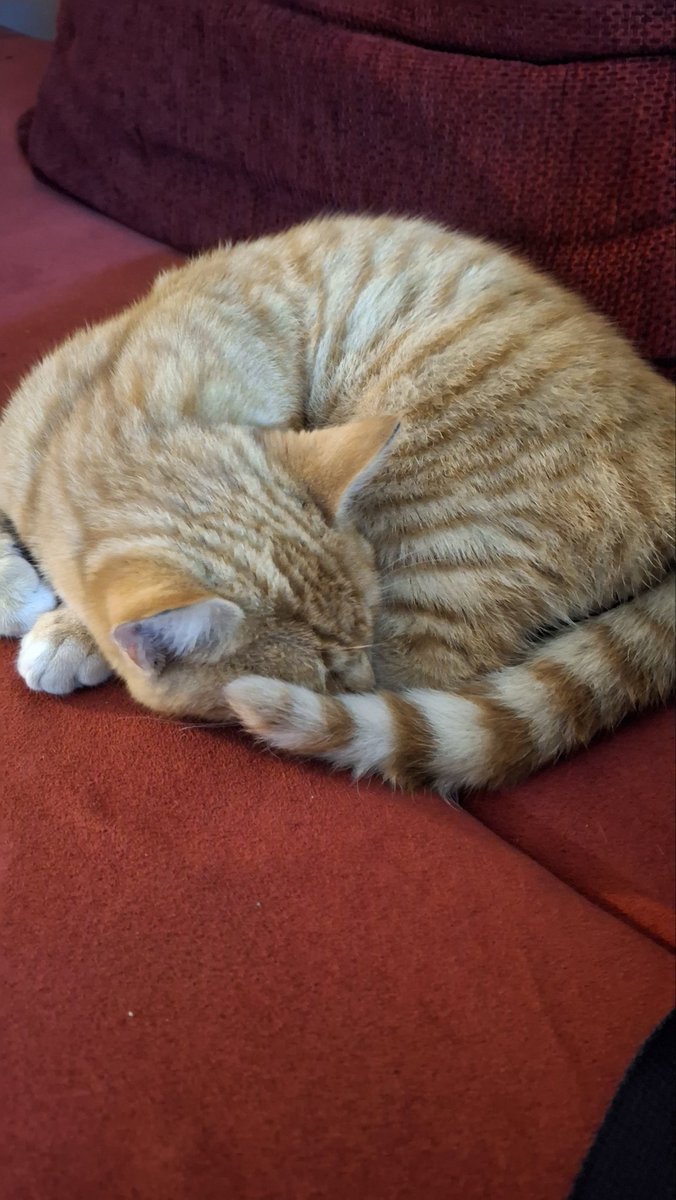 Bu akşamki nöbet arkadaşım(o uyuyabiliyor o yüzden aramız biraz limoni)