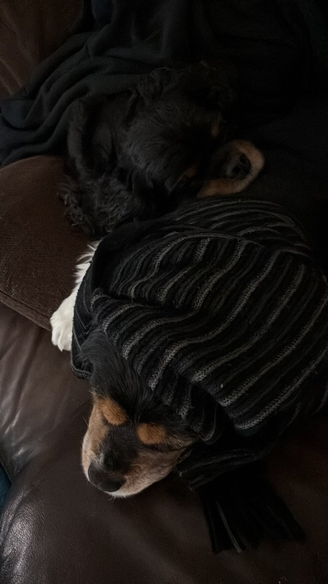 Toby & Harper tweet media