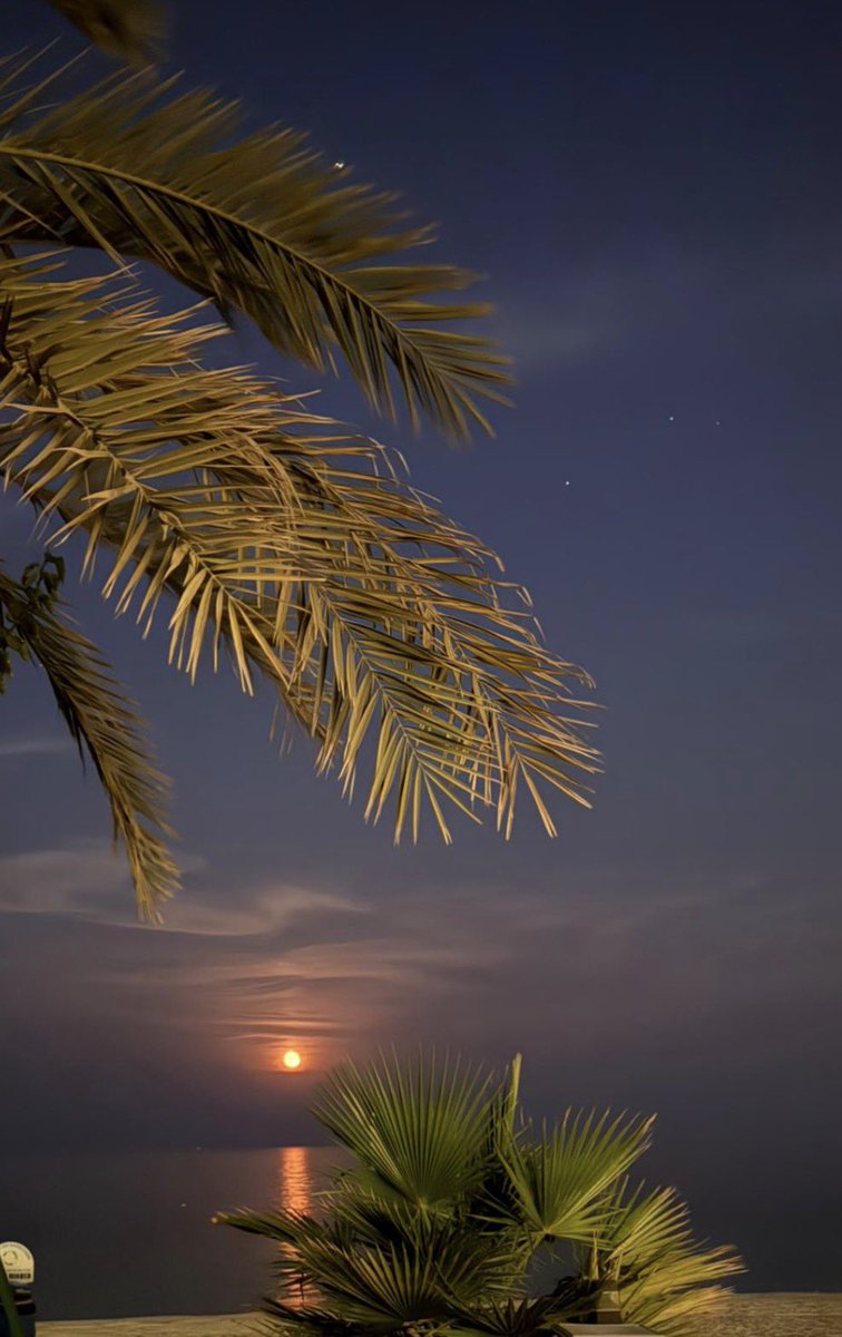 لمن تكون عدسة الكاميرا في يد ماهرة فإن الابداع هي النتيجة، وصدق الشاعر:
يا حبي لأمي وضربة عصاها
ويا بغضي للناس لو دللوني
🌴🌴🌴🌹🌹🌹🌴🌴🌴