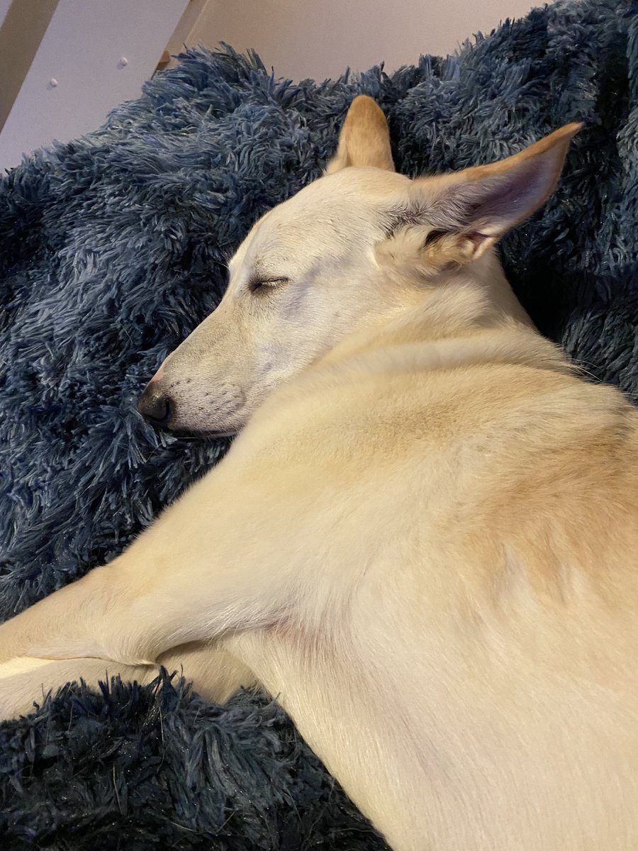 😊❤️👌😉 Jenny