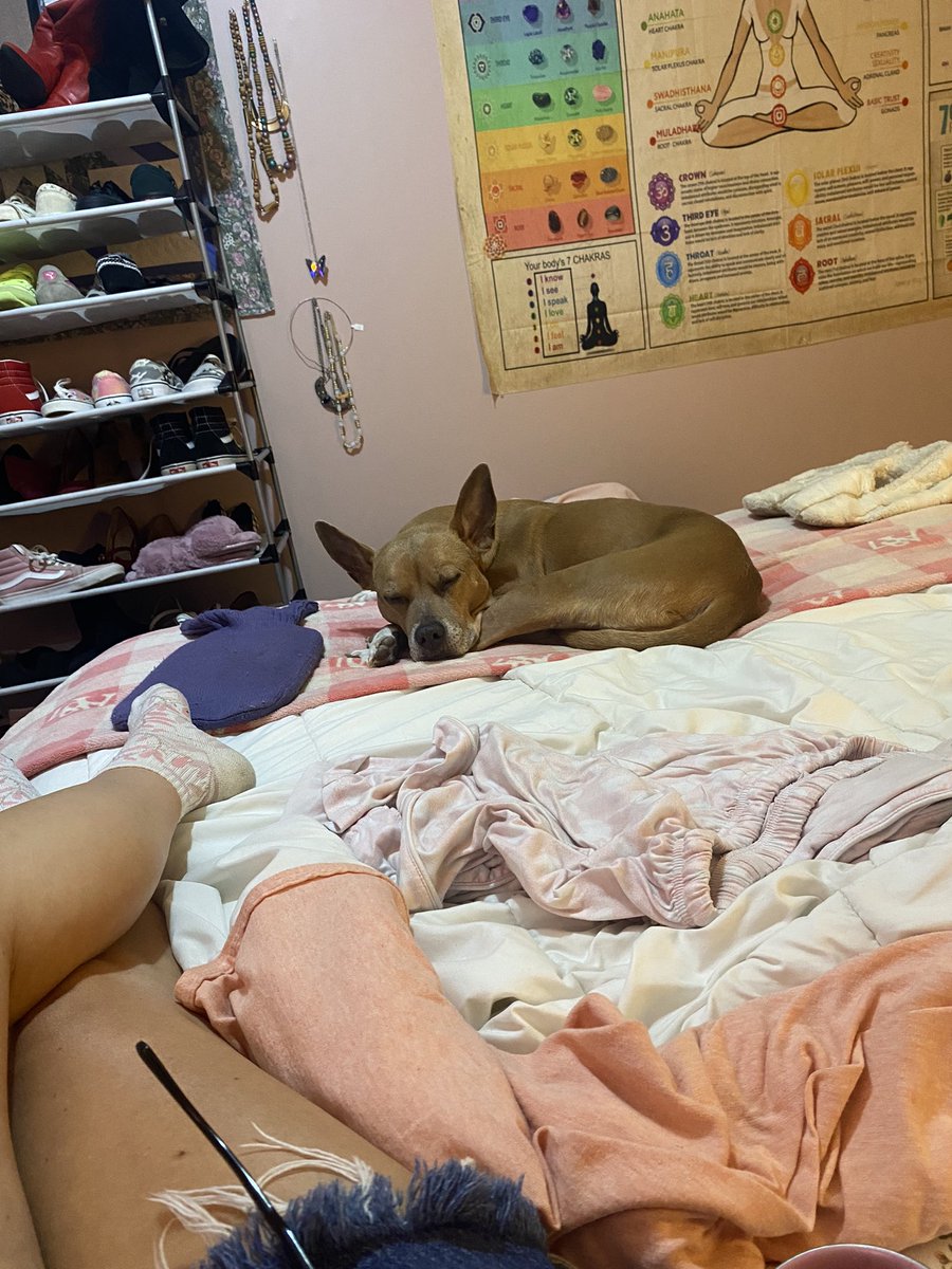 PissedOffMandaP's tweet image. I have made Sasha’s food 4 the week. Made some potato soufflé 4 myself. Vacuumed my rug, cleaned my toilet. (Thanks housekeeper 4 the supplies to do so) Drank way too much plant based meds! #Kratom #THC Need to go frolicking in the woods now. My head is tingling 😂 🚩🚀 #TGIF