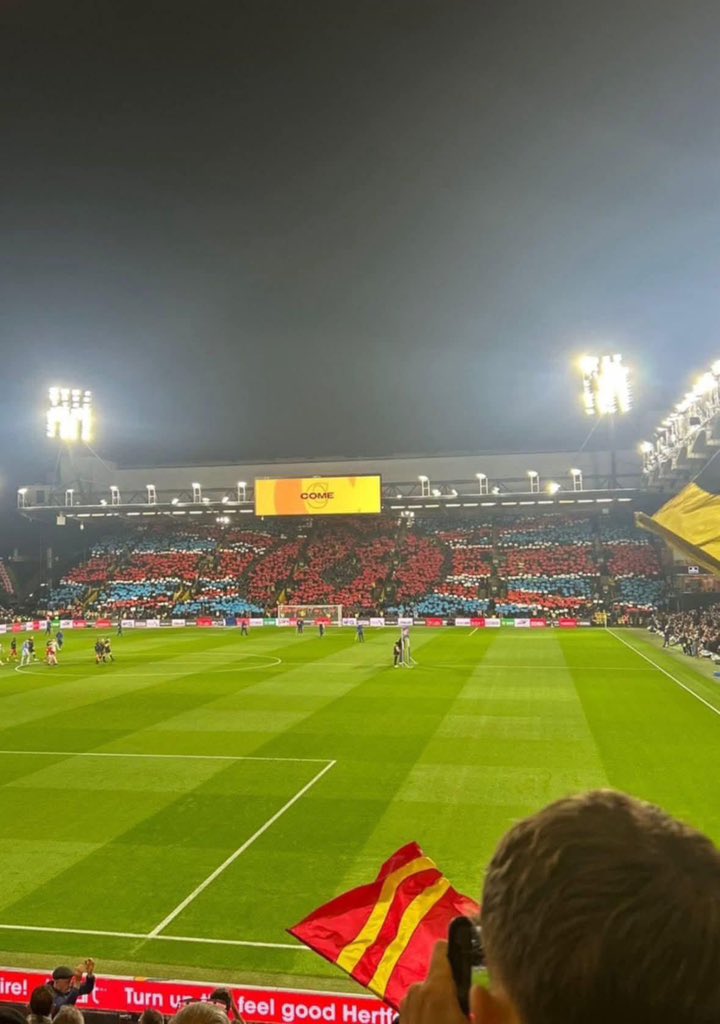 Fuck the woke #WatfordFC