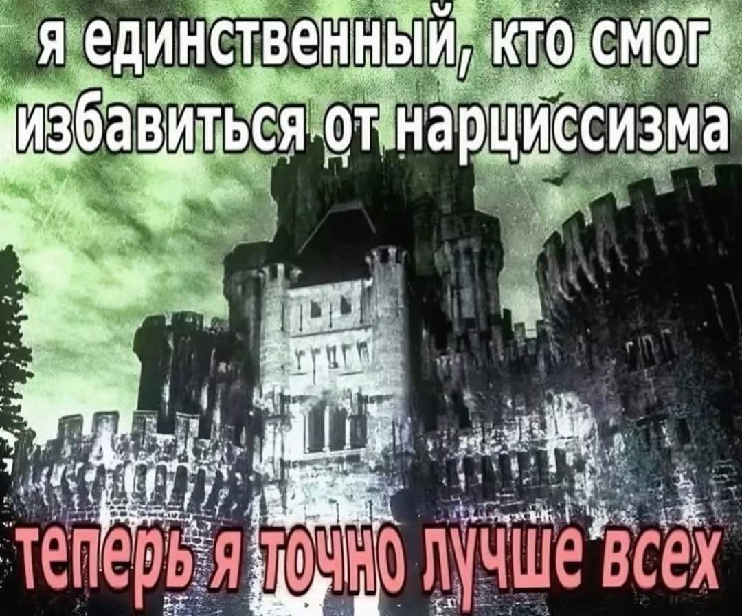 фреймер tweet media