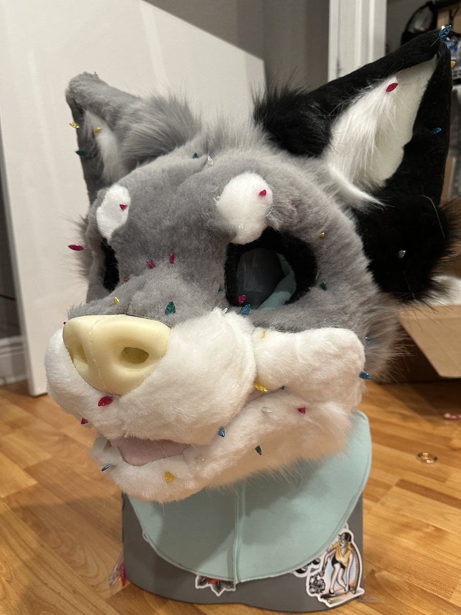 t4zerr's tweet image. pinnin’ to winnin