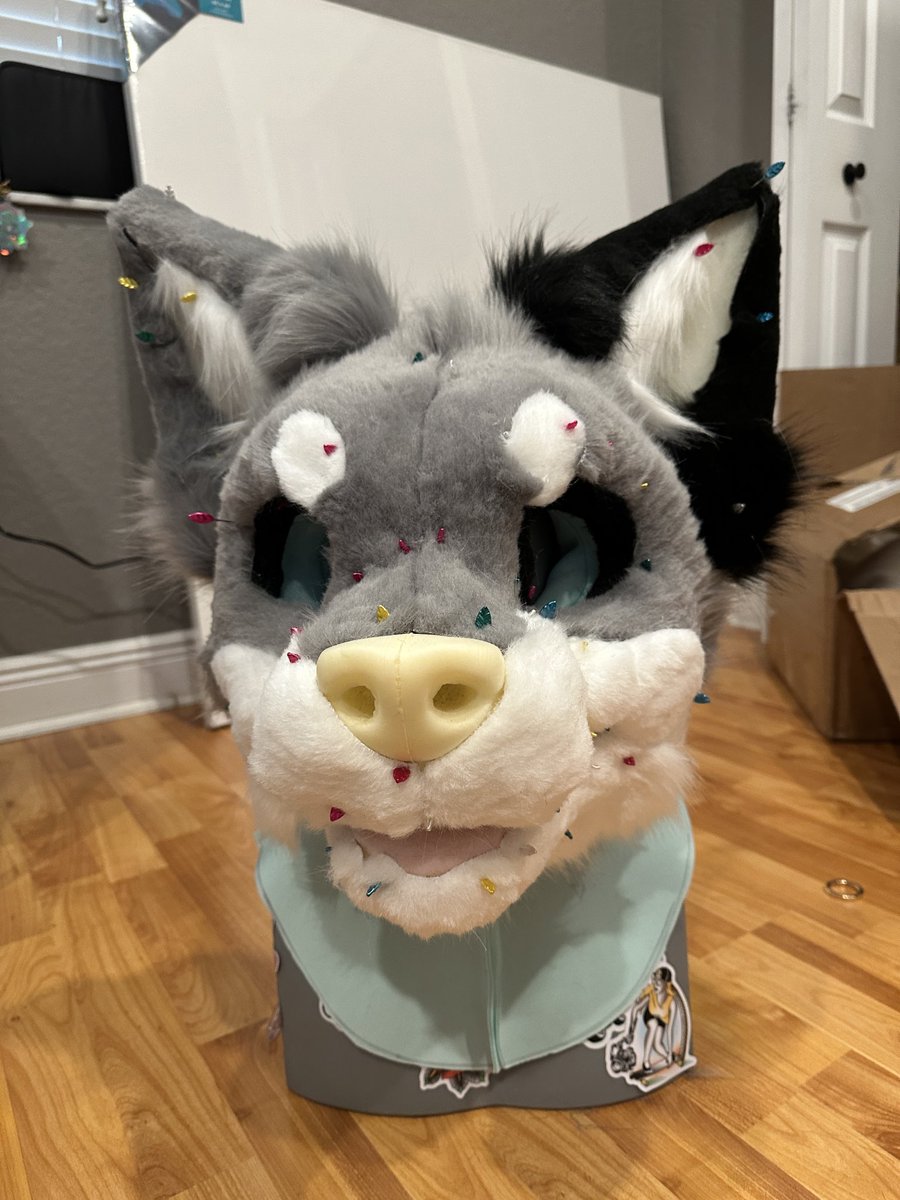 t4zerr's tweet image. pinnin’ to winnin