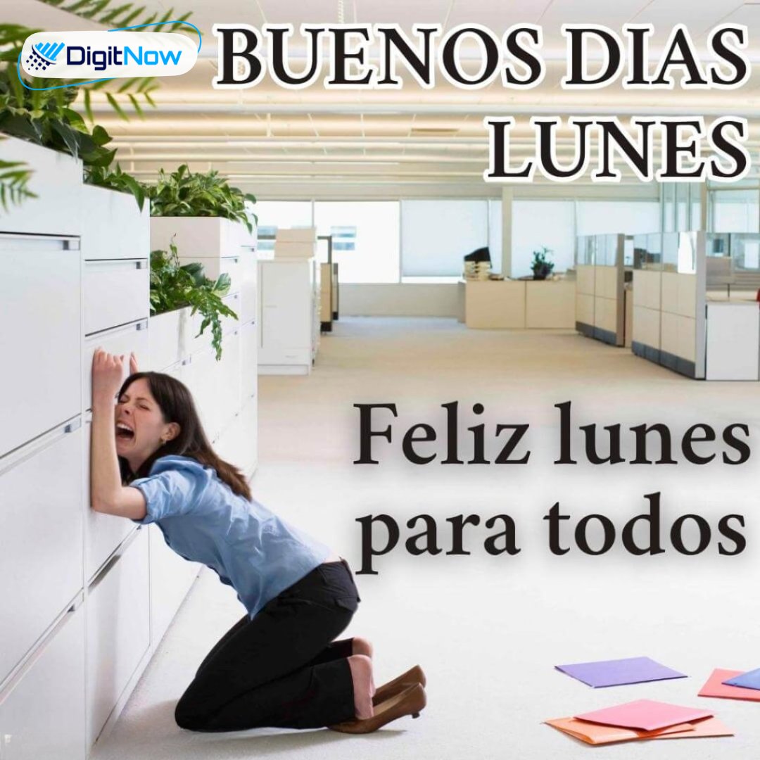 DigitNowMexico's tweet image. Lunes mood:
🥲 Sufro porque se acabó el descanso
😎 Sonrío porque el dinero no se gana solo
Balance perfecto, ¿no? 😂
Vamos que sí se puede 🤘

#DigitNow #LunesConActitud #NuevaSemana #HumorLaboral