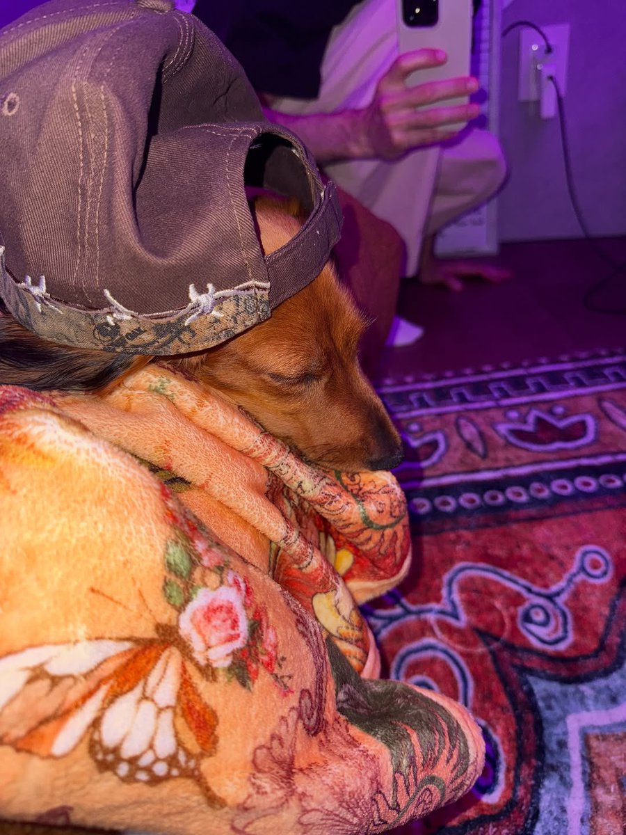 NailaUpdates's tweet photo. 🐾|| Naila en el post de Pao Pao https://t.co/bRVIqR2JAI