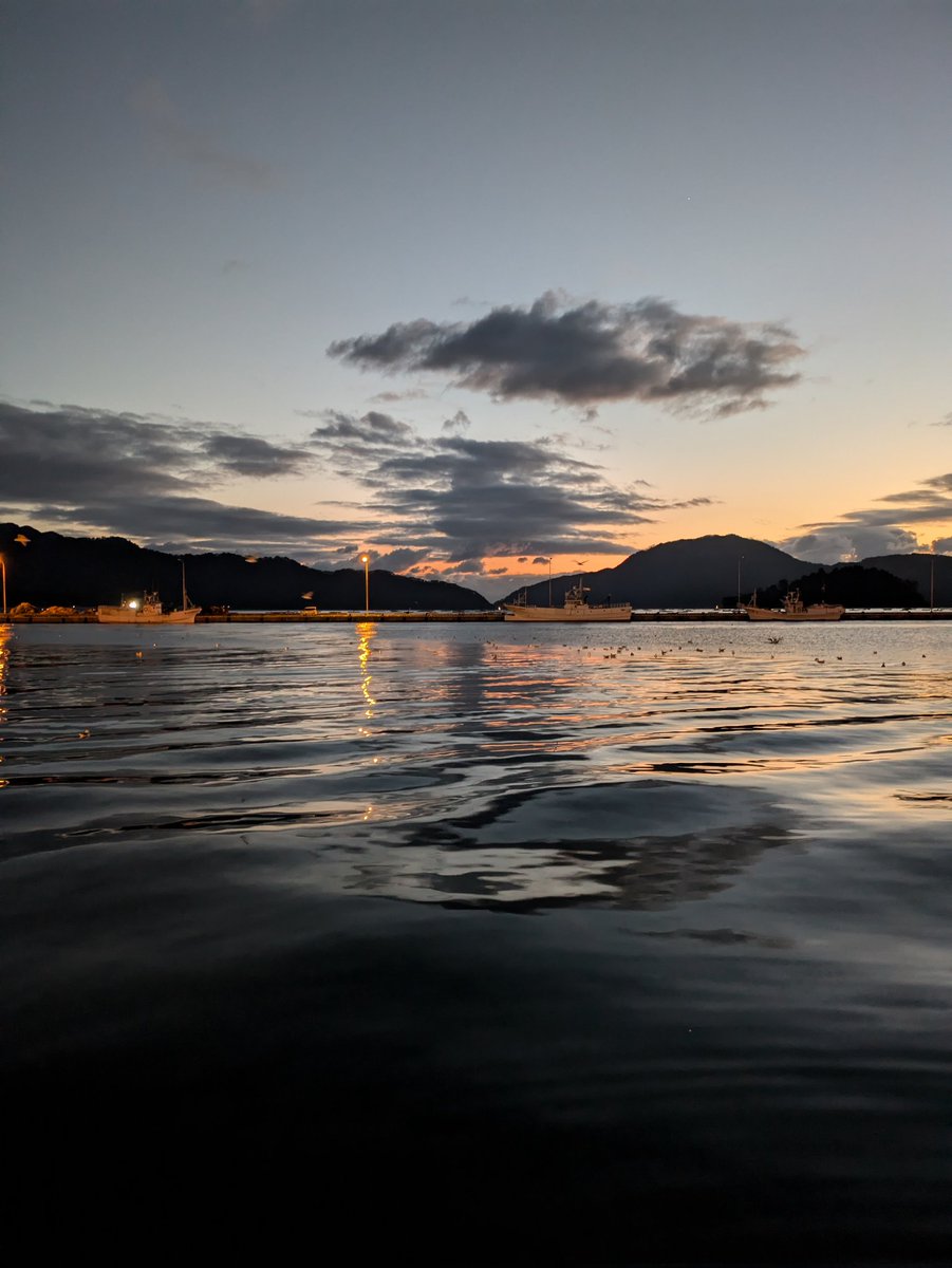 新🌟2ﾌﾞﾛみーたん (@miitann1278) / Posts / X