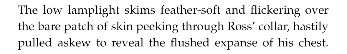 hms erebus tweet media