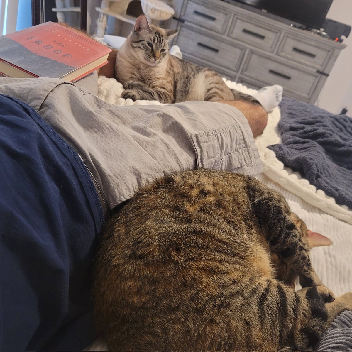 JRMontarbo's tweet image. #Benny and #Pip, cozying up for
some afternoon reading. About to
get into Nick Cutter&apos;s &quot;The Troop&quot;!