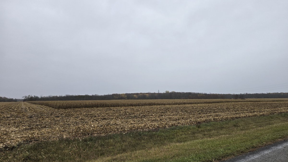 Good harvest day ahead of the showers.   Cranes,  red yields maps, dirty windows.   Today had it all.  Thanks <a href="/tenwattandrew/">Andrew vG 🇳🇱🚜\\\</a> for getting the dryer going again quickly today!   #ontag
