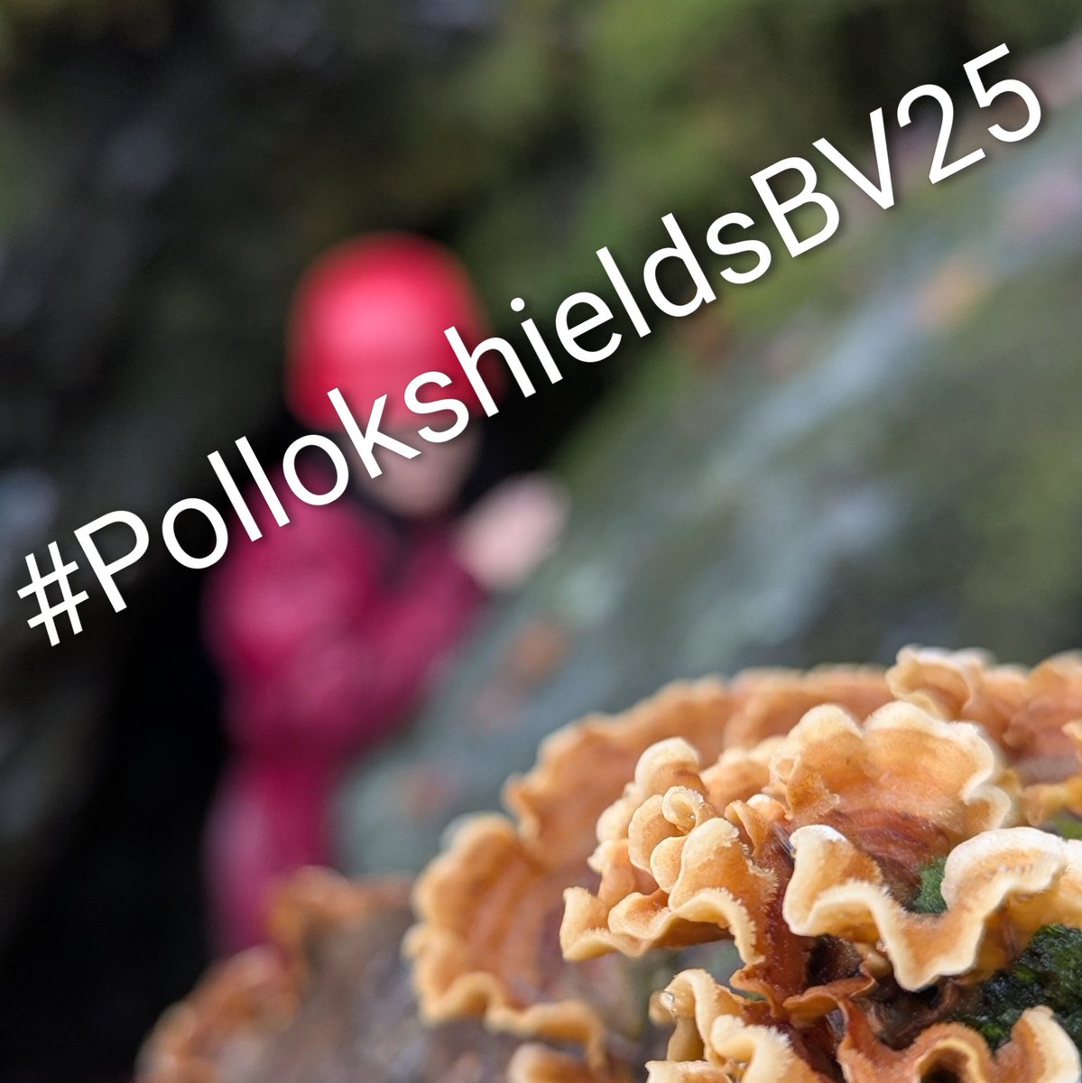 Blairvadach Outdoor Education Centre - Glasgow tweet media