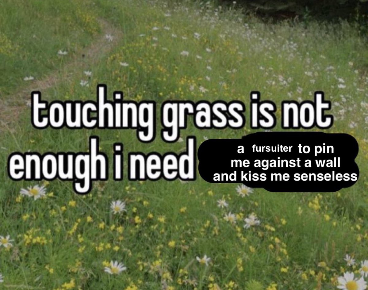 squeakingshark's tweet image. 