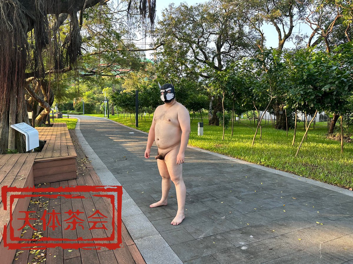 天体茶会 tweet media