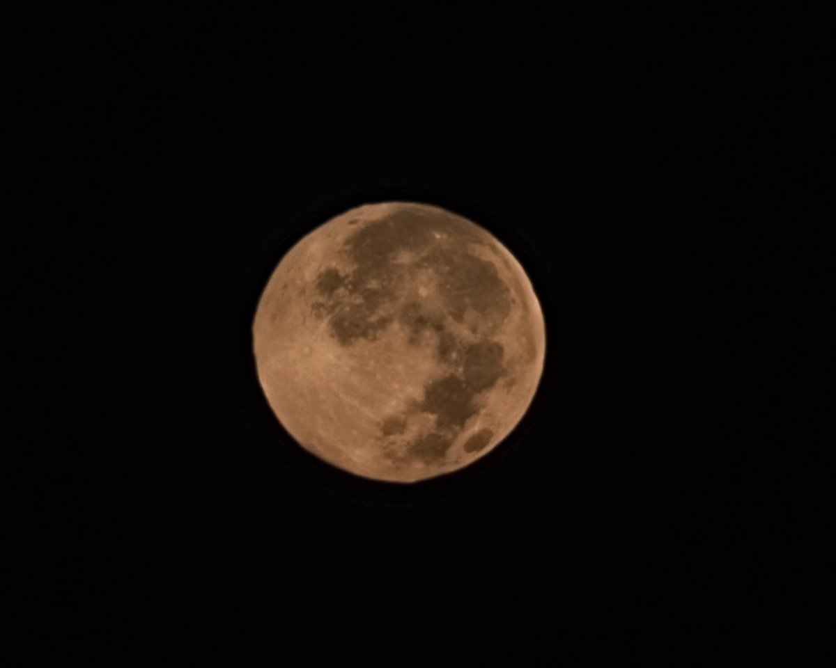 Carol Brouwer tweet media