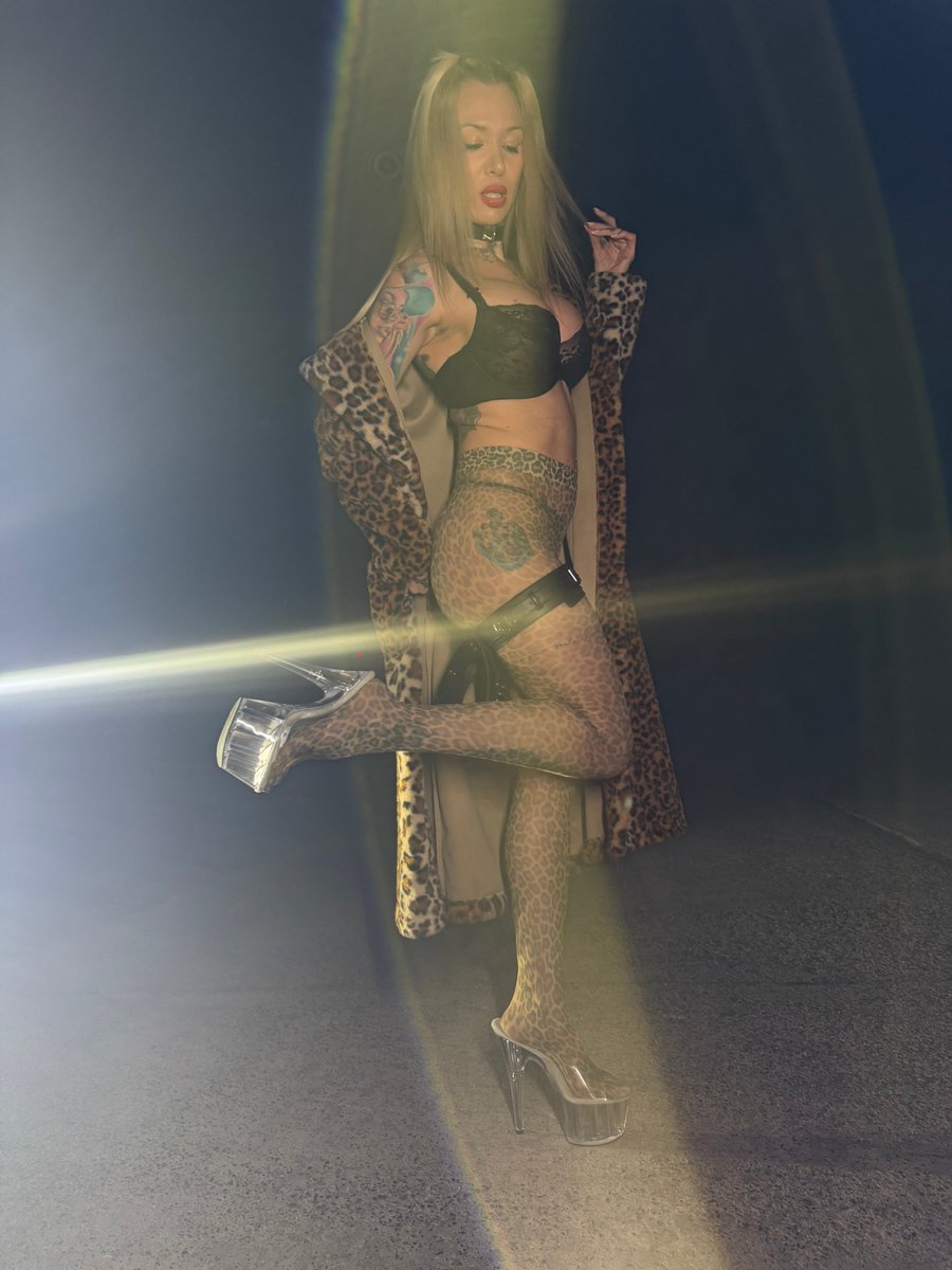 Cornelia_Ritzke's tweet photo. Déjavue🤯🥵
#corneliaritzke #milf #mommy #mom #wet #geil #bigtitts #titts #titten #boobs #bigboobs #booty #tattogirl #tatto #intim #germanmilf #hotmilf #tattoo #tattoogirl #pink #dicketitten #bigboobs #bigtitts #blond #dirty #wet #creamy #play #playtime #fy #fyp #foryou #sexy https://t.co/oA1BisW3rc
