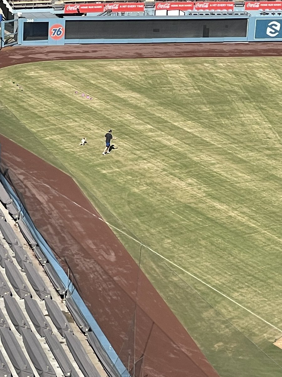 kurumacom8888's tweet image. ドジャーズスタジアム
大谷さん、デコピン

#大谷選手