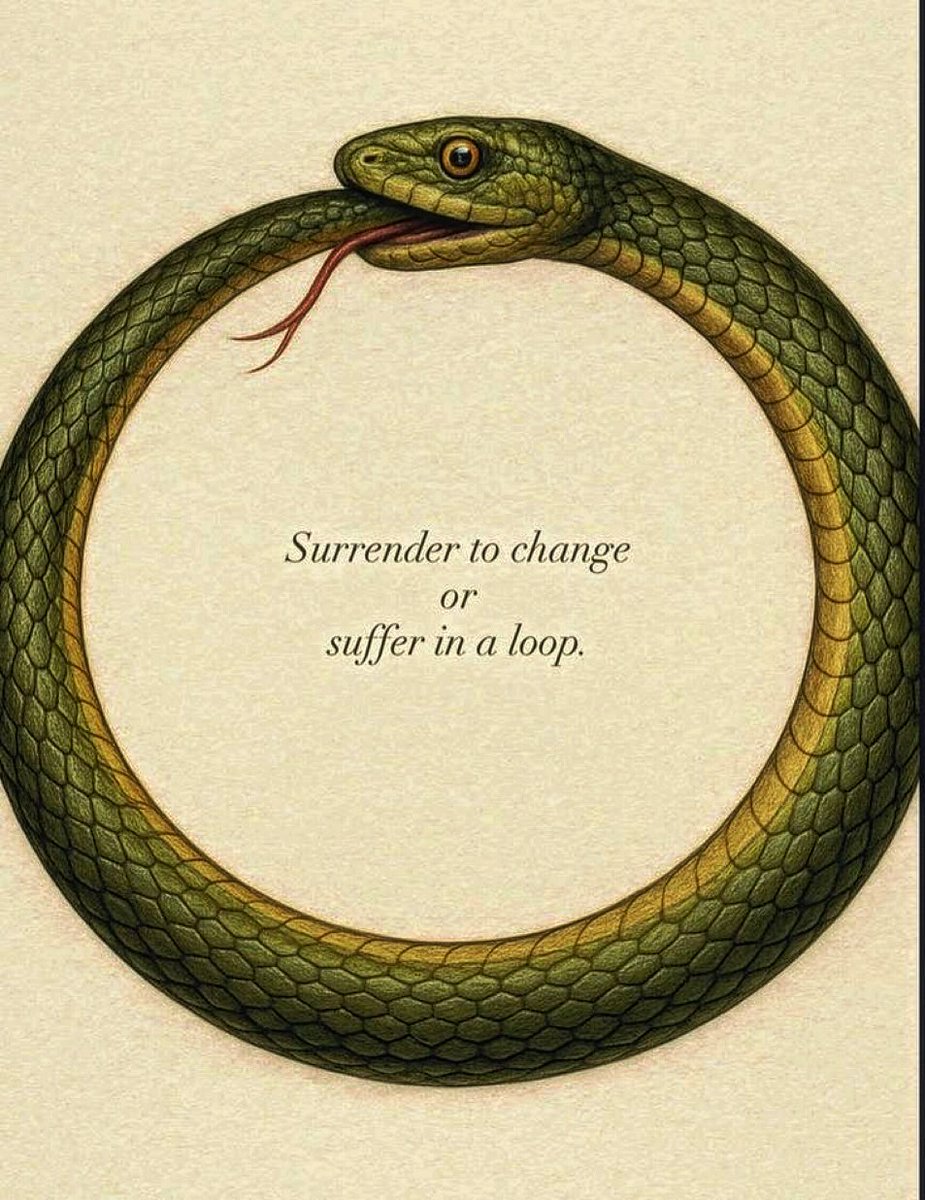 miniarchillect's tweet image. 