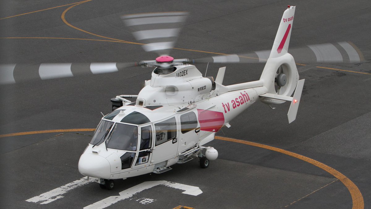 #ドーファンを愛でる会