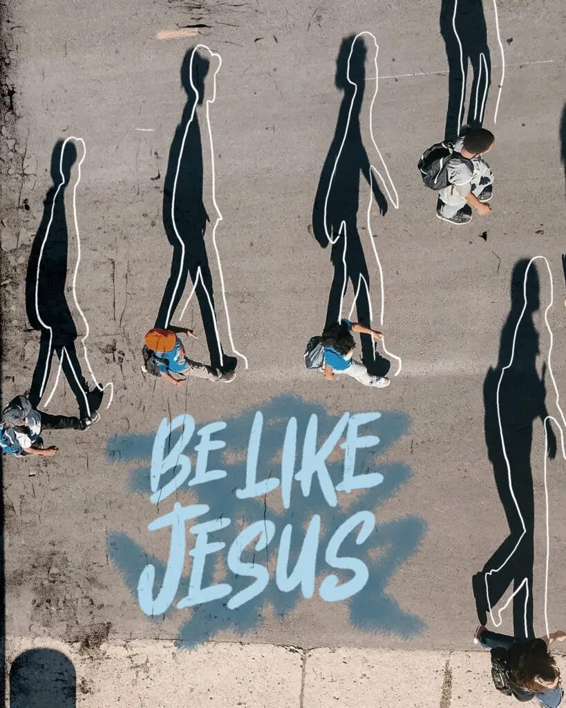 RJ McCauley tweet media