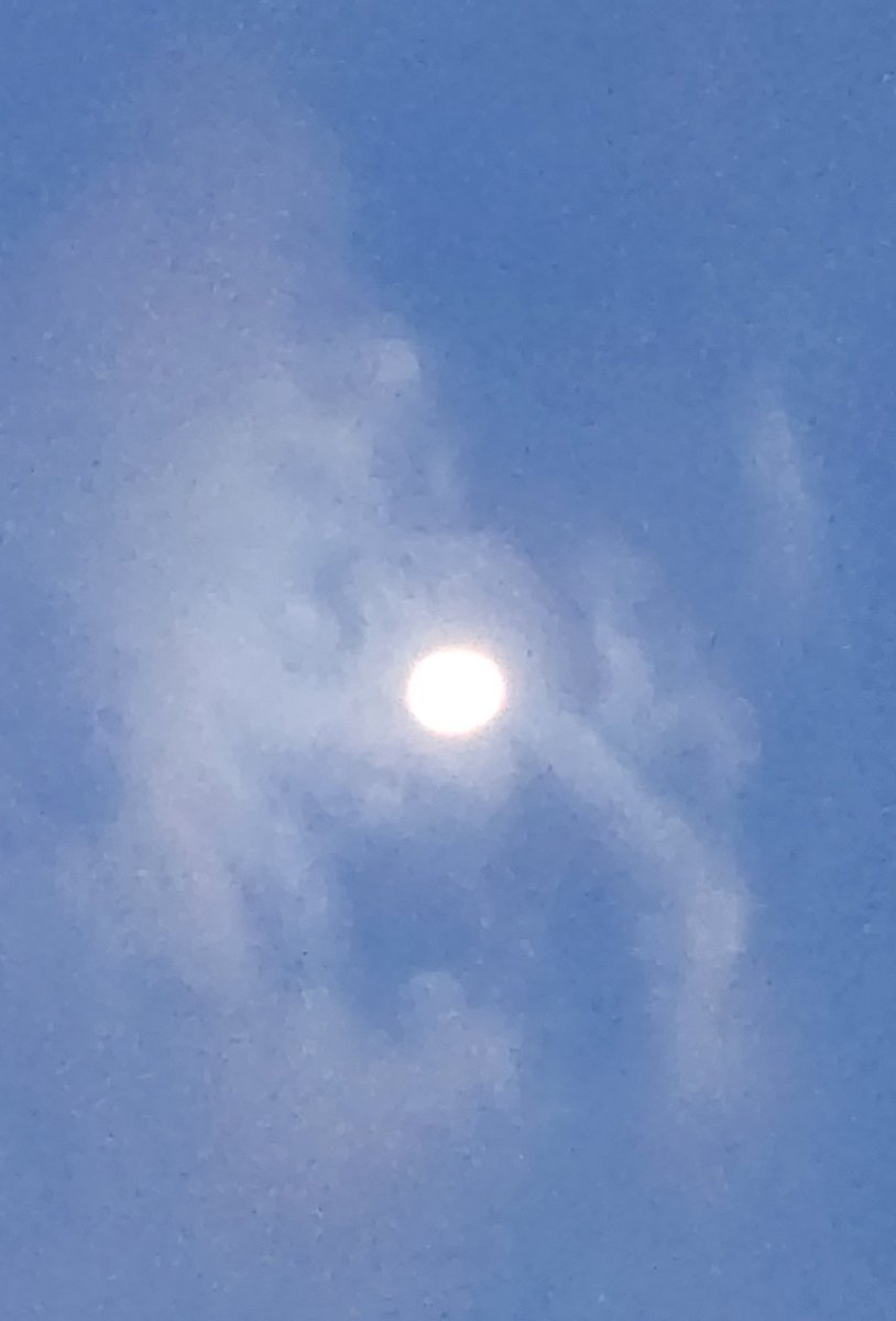 ケンマックス🐻‍❄️ on X