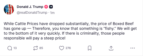 #krashkattle tweet media