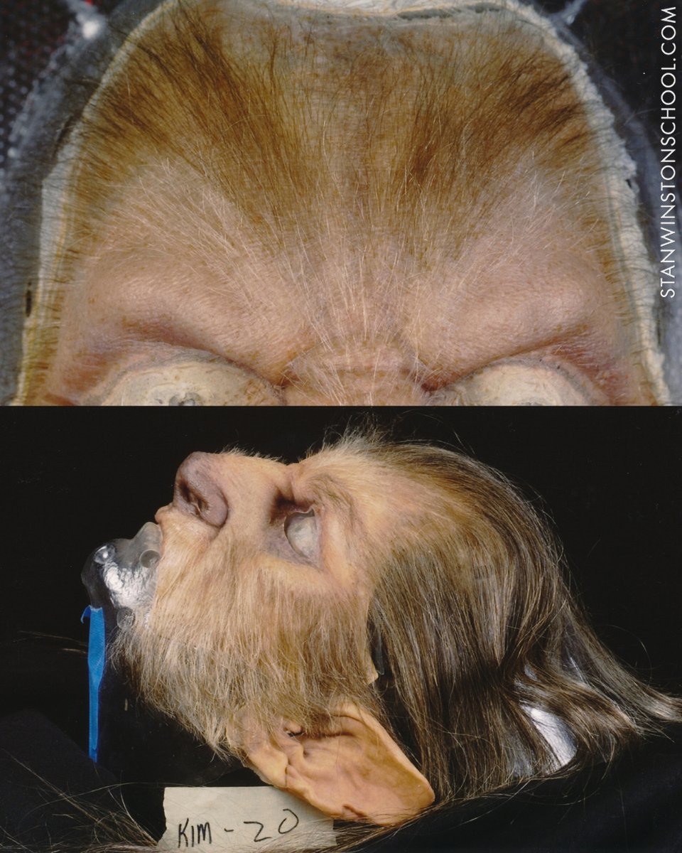 SWinstonSchool's tweet photo. 🐺 NEW BLOG: https://t.co/nnniwG2qtq
Read how Stan Winston Studio and Stan Winston Digital tested a hybrid approach for the werewolves in Skinwalkers, laying the foundation for digital/practical hybrid character effects. https://t.co/MwnPc3b0jW
