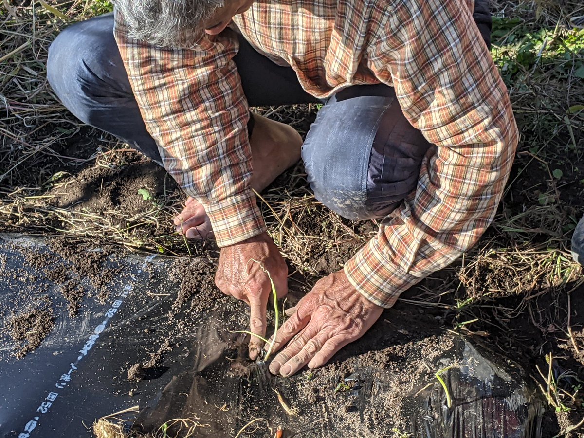 お野菜 ◇〈奈良うま直販フレッシュ〉奈良野菜セット｜近鉄百貨店ネットショップ
