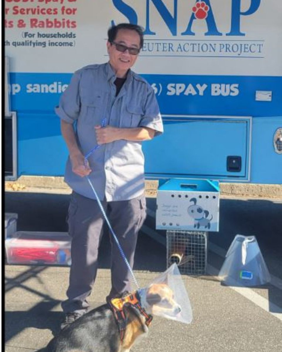 SNAPspayneuter's tweet image. 🐾 November is Senior Pet Month! 💛

This November, we’re shining a light on the importance of spay and neuter care for older pets.

#SeniorPetMonth
#SNAPSanDiego
#SeniorPets
#SpayNeuterSavesLives
#SNAPLovesSeniors